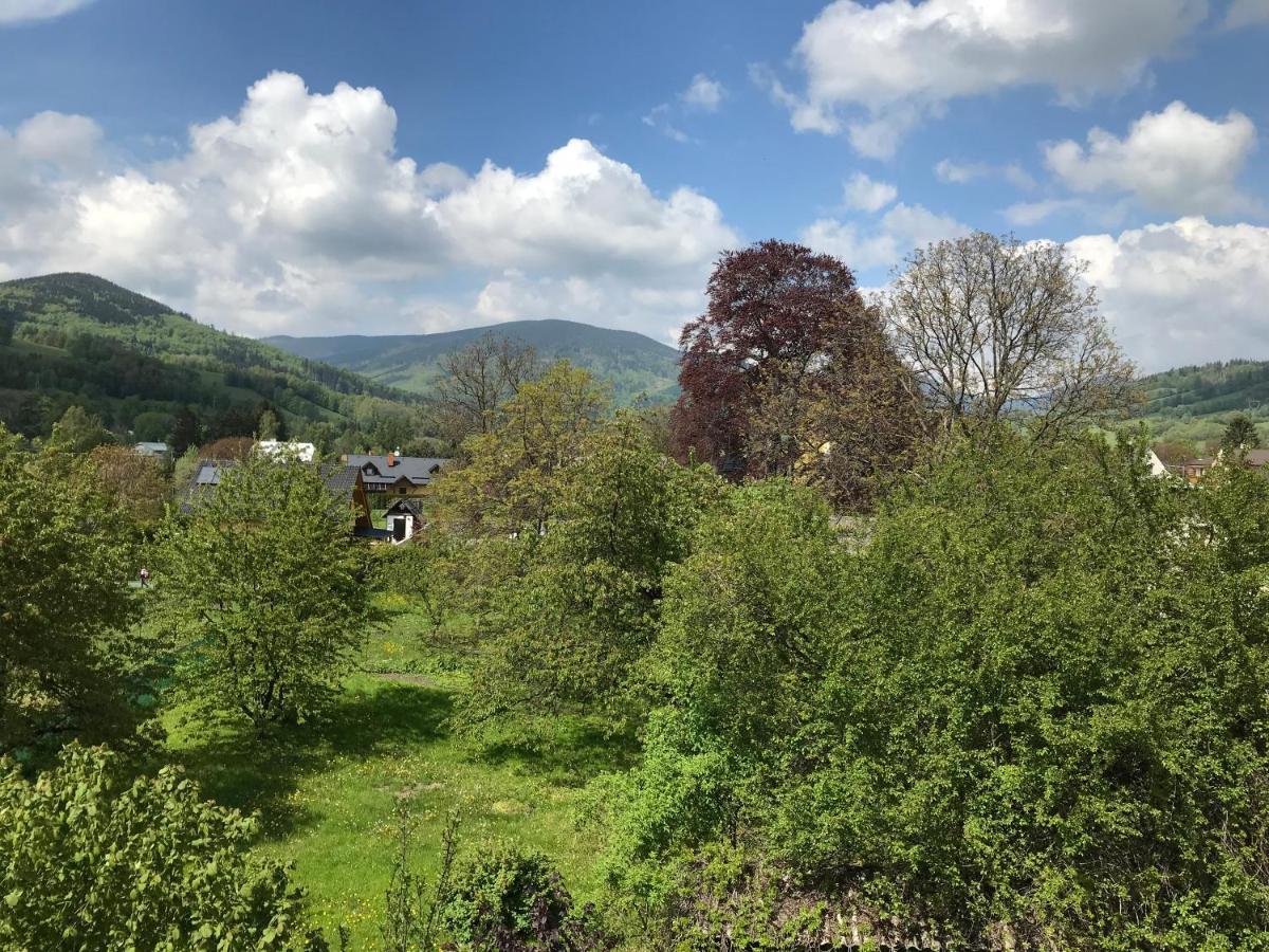 Mezonetovy Apartman Isabela Loučná nad Desnou Exterior foto